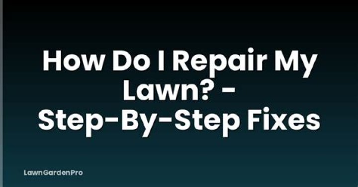 How do I repair my lawn in the spring?