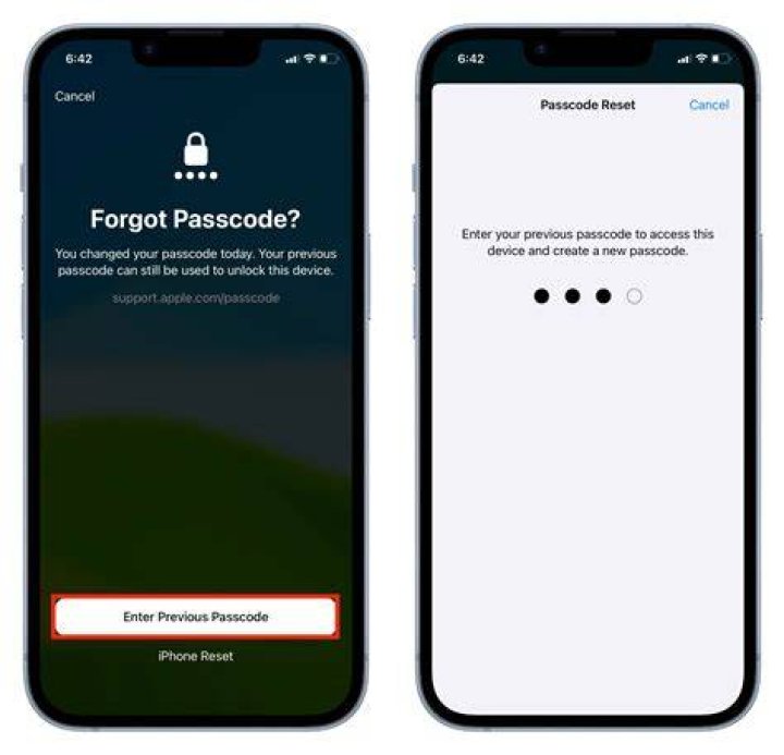 How do I reset my Apple password if I forgot it?