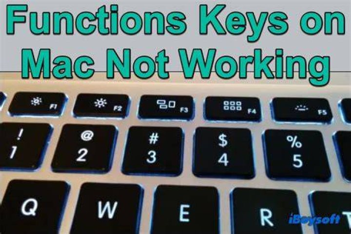 How do I reset my MacBook keyboard not working?