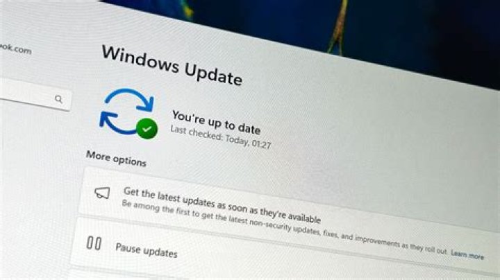 How do I run Microsoft Update on Mac?