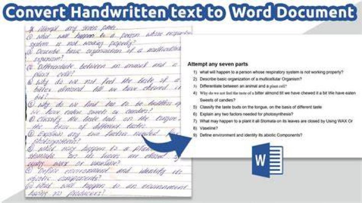How do I scan a handwritten document into Word?