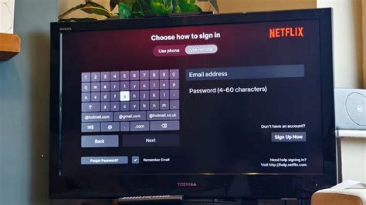 How do I setup Netflix on my Sanyo TV?