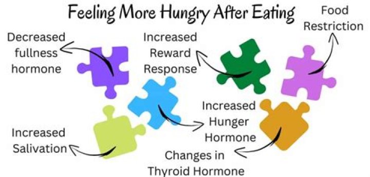How do I stop feeling hungry after eating?