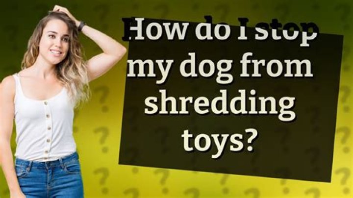 How do I stop my dog from shredding?