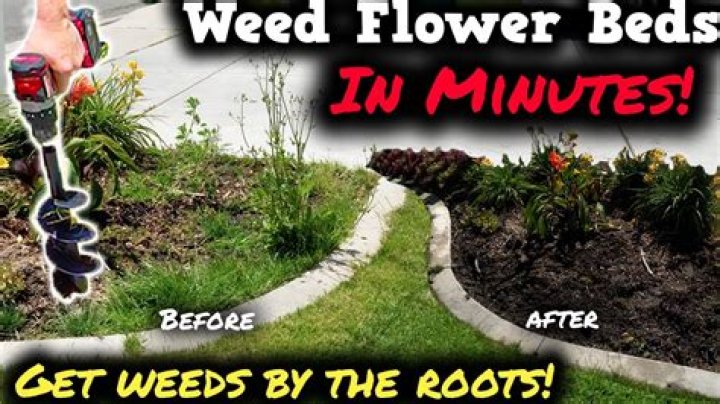 How do I stop weeds growing in my pond?