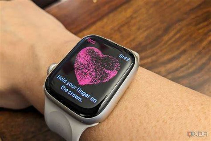 How do I use the heart monitor on my Apple Watch?
