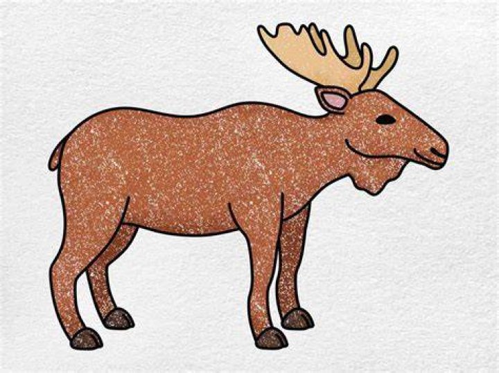 How do u draw a moose?
