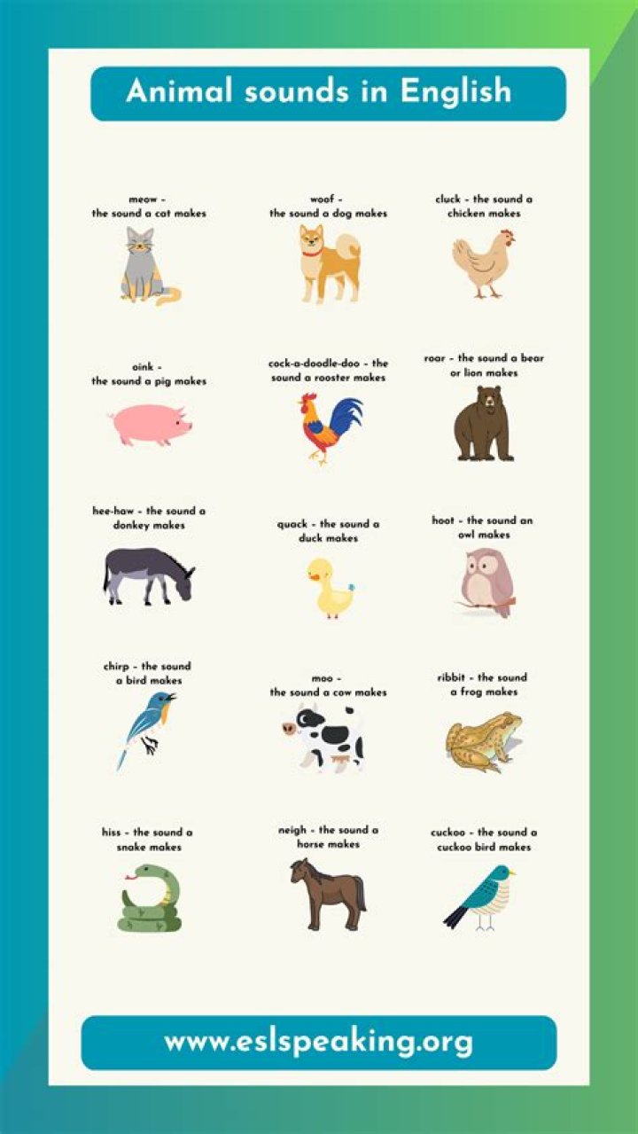 How do we make a sound?