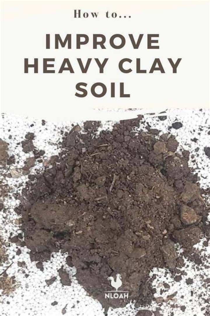 How do you amend heavy clay soil?