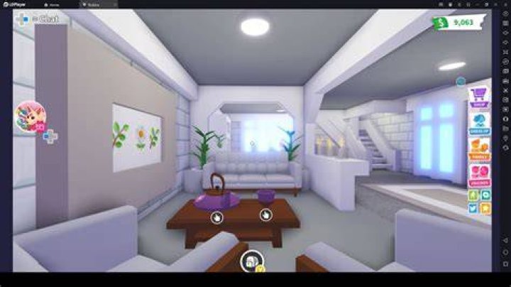 How do you build a puppy room?