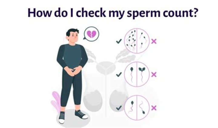 How do you check sperm count?