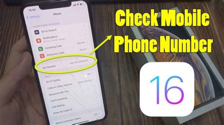 How do you check your minutes on Virgin Mobile?