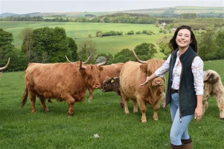 How do you clean cows feet?