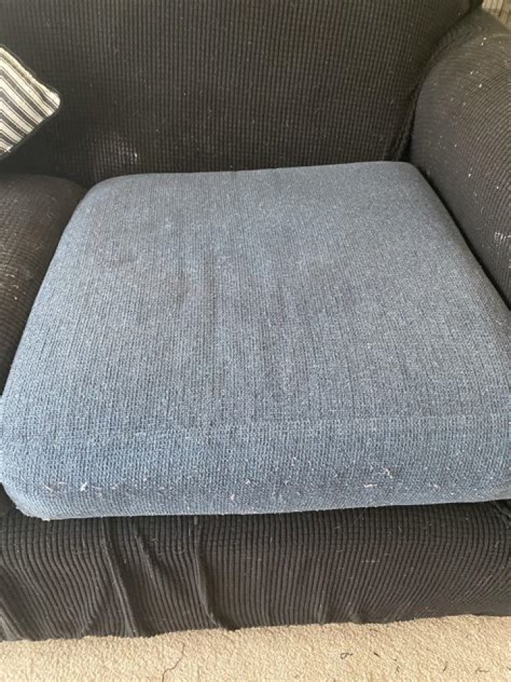 How do you clean urine out of a foam cushion?