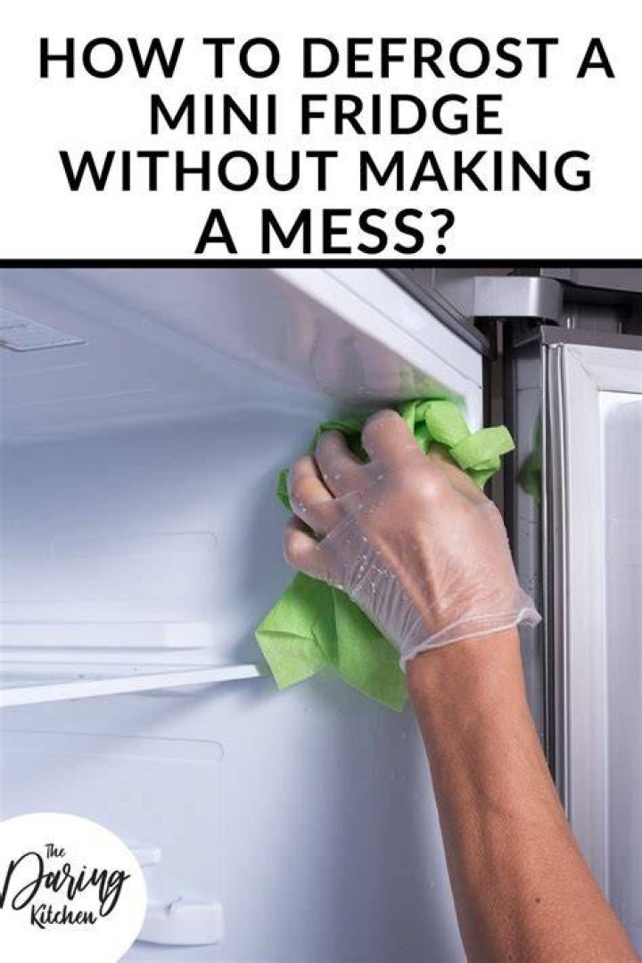 How do you defrost a mini fridge freezer quickly?