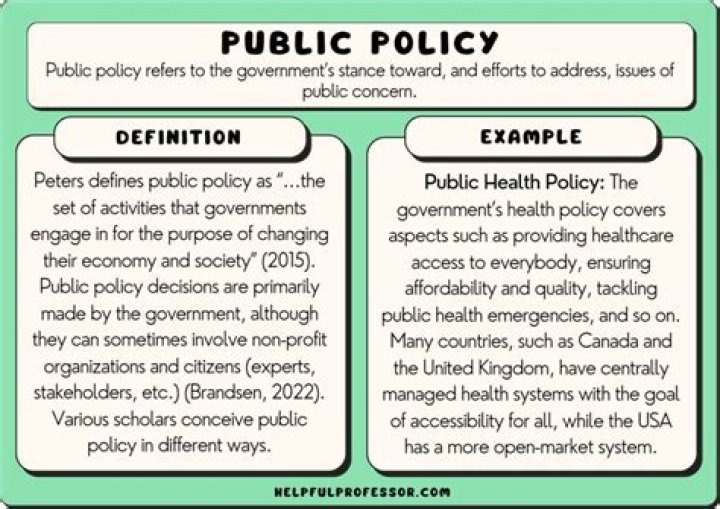 How do you explain public policy?