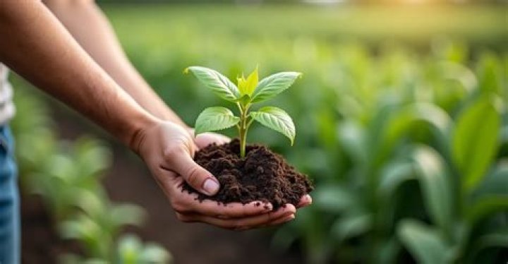 How do you fertilize horse manure?