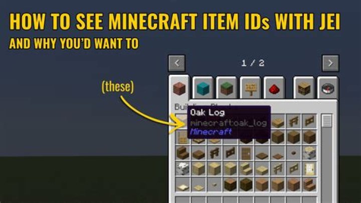 How do you find the item ID in Minecraft?