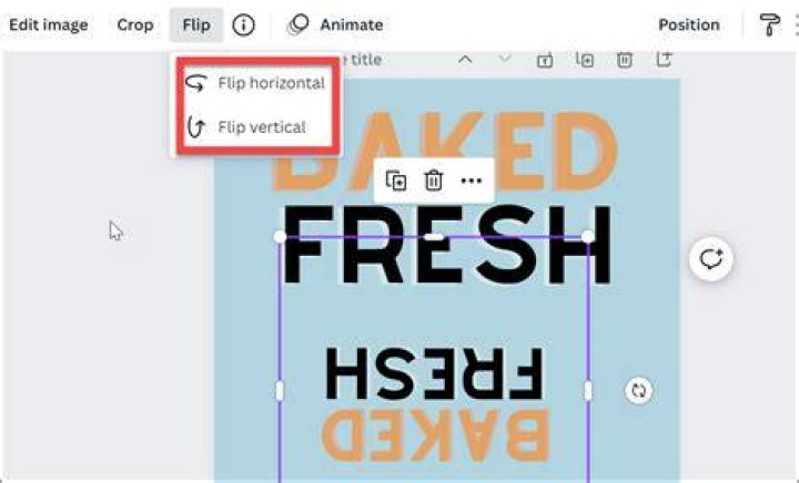 How do you flip a text box in Publisher?