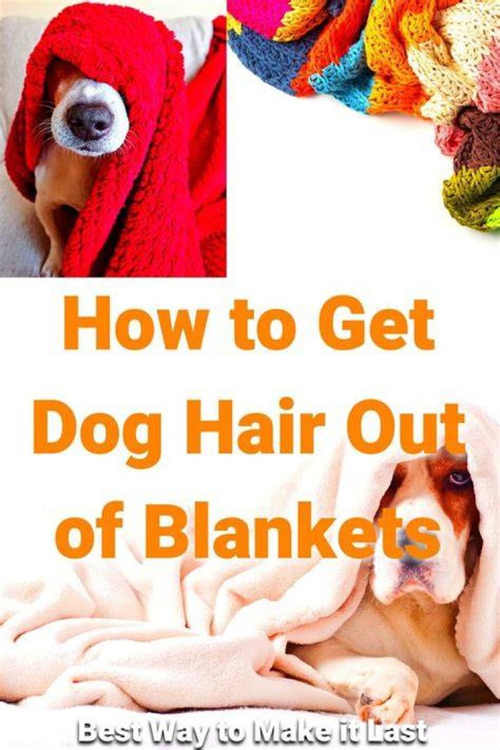 How do you get dog hair off of blankets?