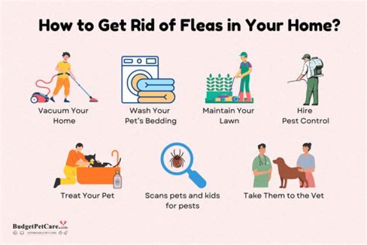 How do you get rid of a hawk in your yard?