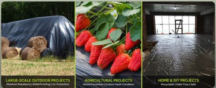 How do you grow black plastic in a garden?