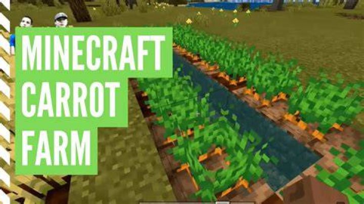 How do you harvest carrots in Minecraft?