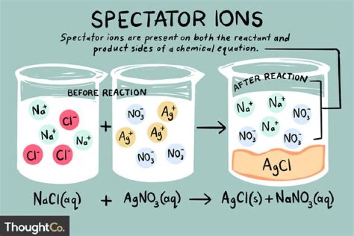 How do you identify spectator ions?