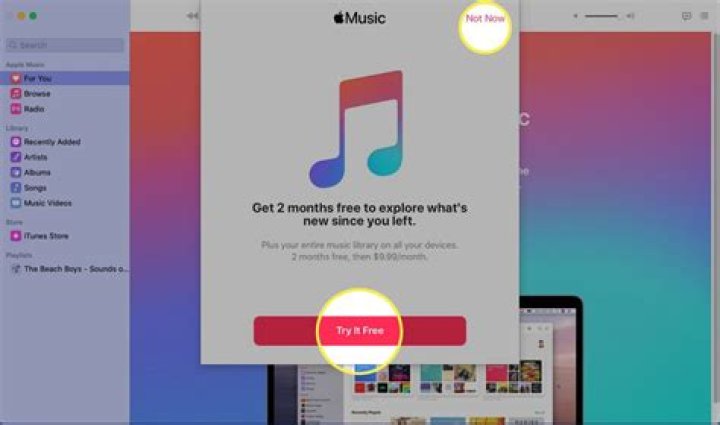 How do you install iTunes on a Mac?