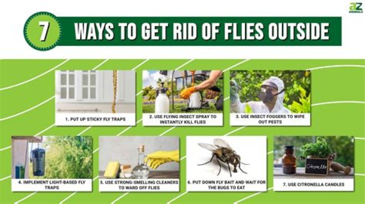 How do you keep green flies away?