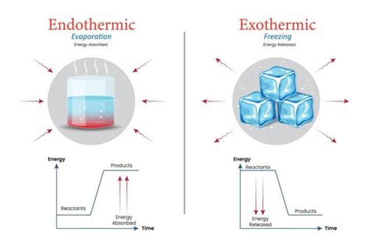 How do you know if a process is exothermic?