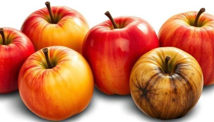 How do you know if an apple is bad?