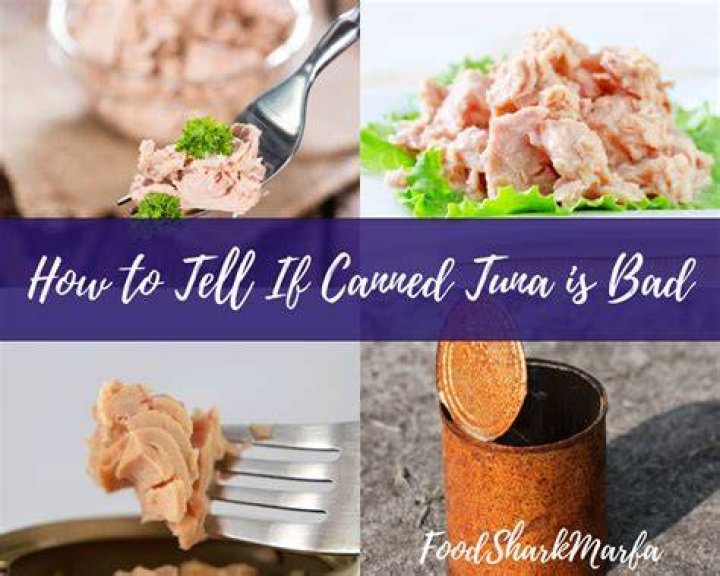 How do you know if raw tuna is bad?