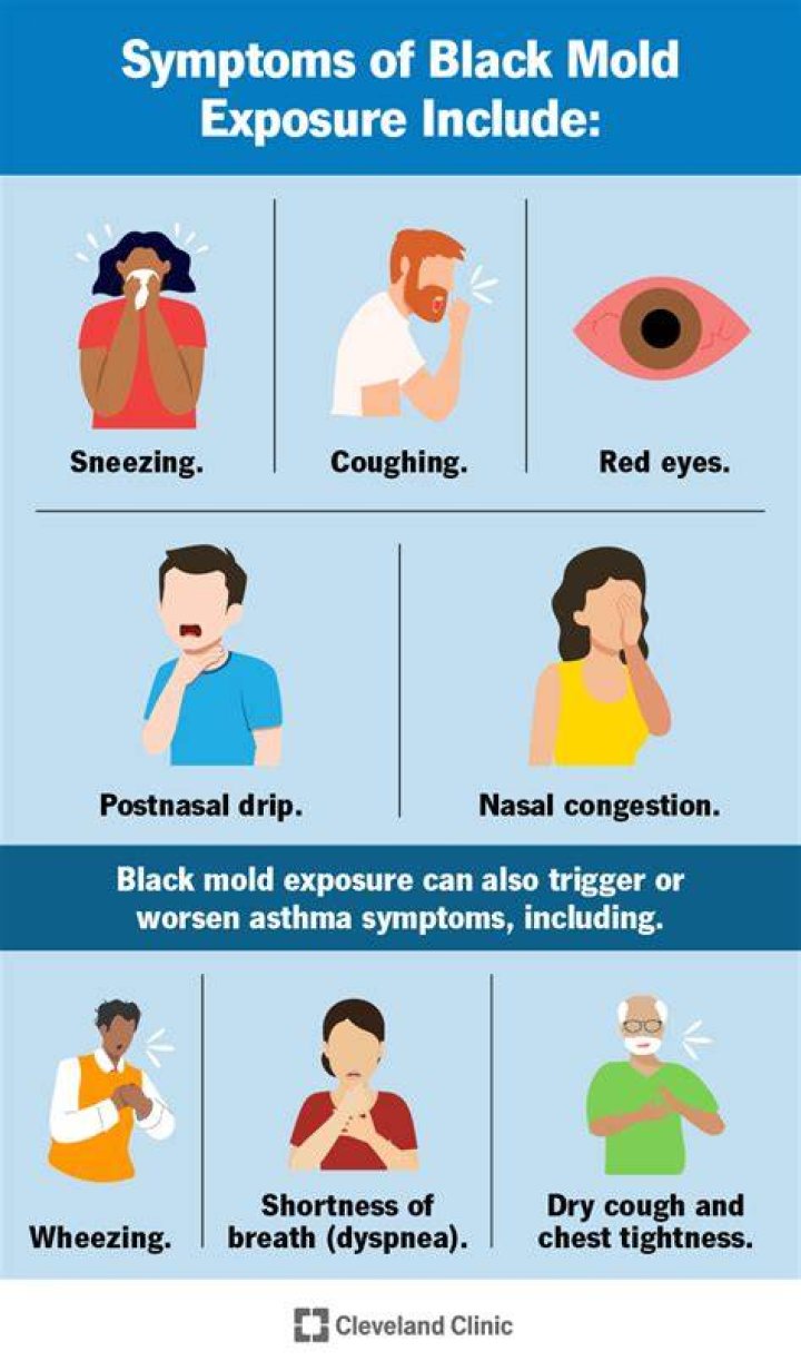 How do you know if you have been exposed to mold?