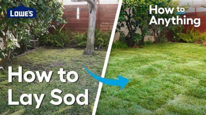 How do you lay sod in a small area?