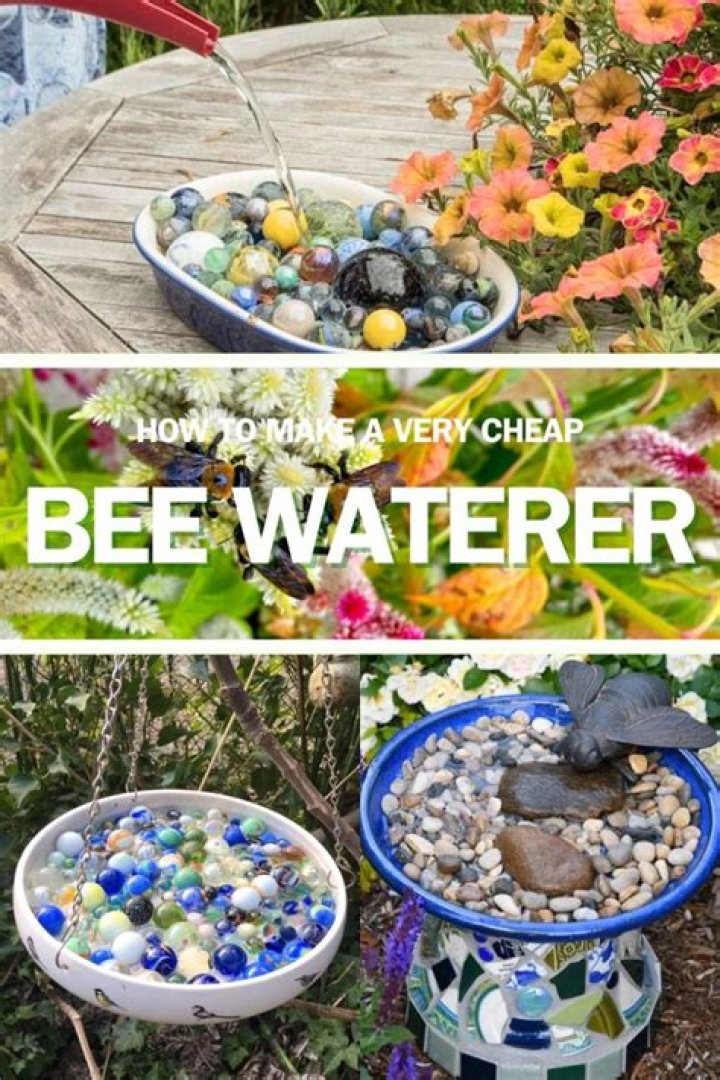 How do you make a bee waterer?