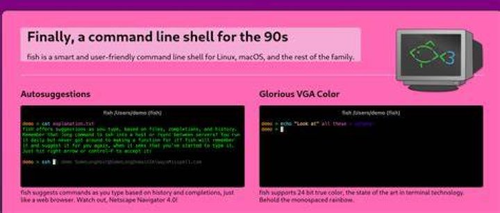 How do you make a fish default shell?