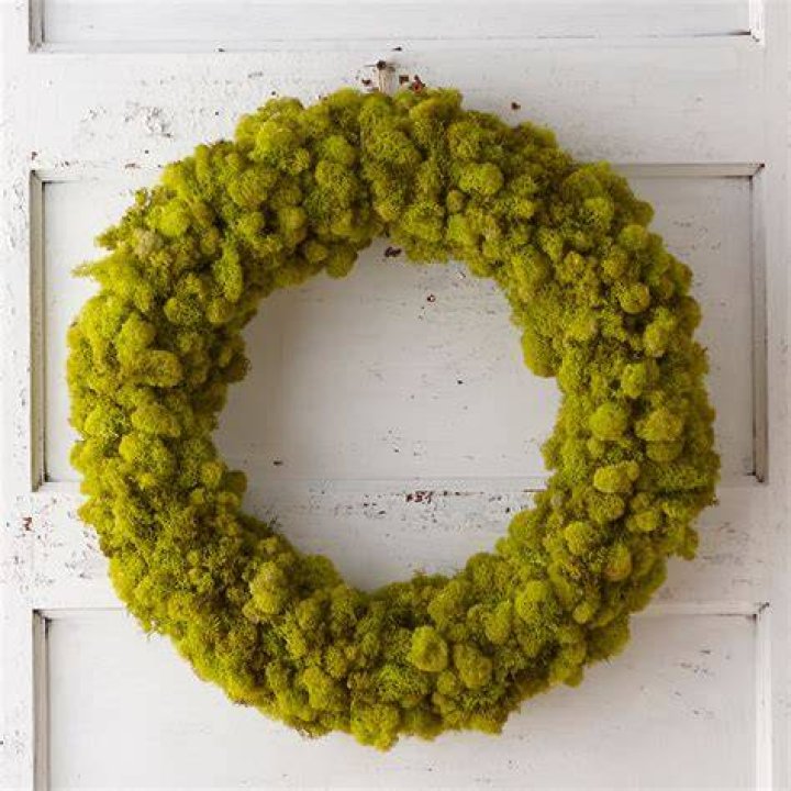 How do you make a reindeer moss wreath?