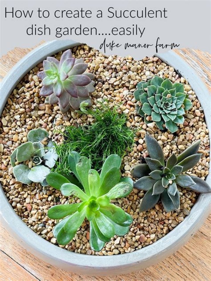 How do you make a succulent dish?