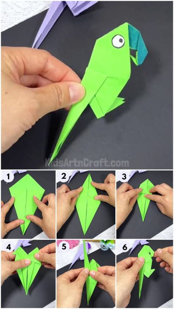 How do you make an easy origami parrot?