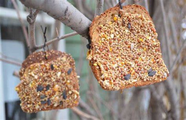 How do you make bird feeder bread?