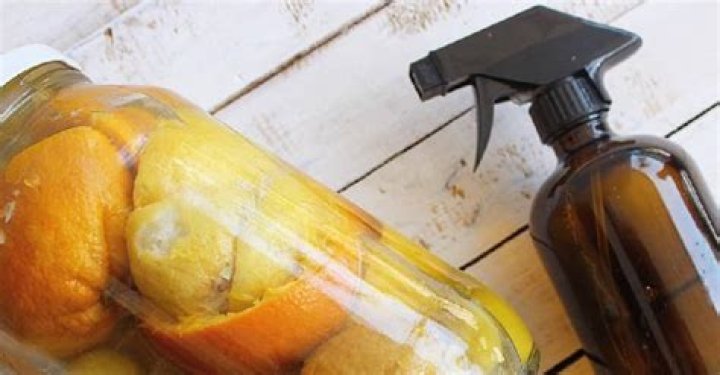 How do you make citrus spray for carpenter bees?