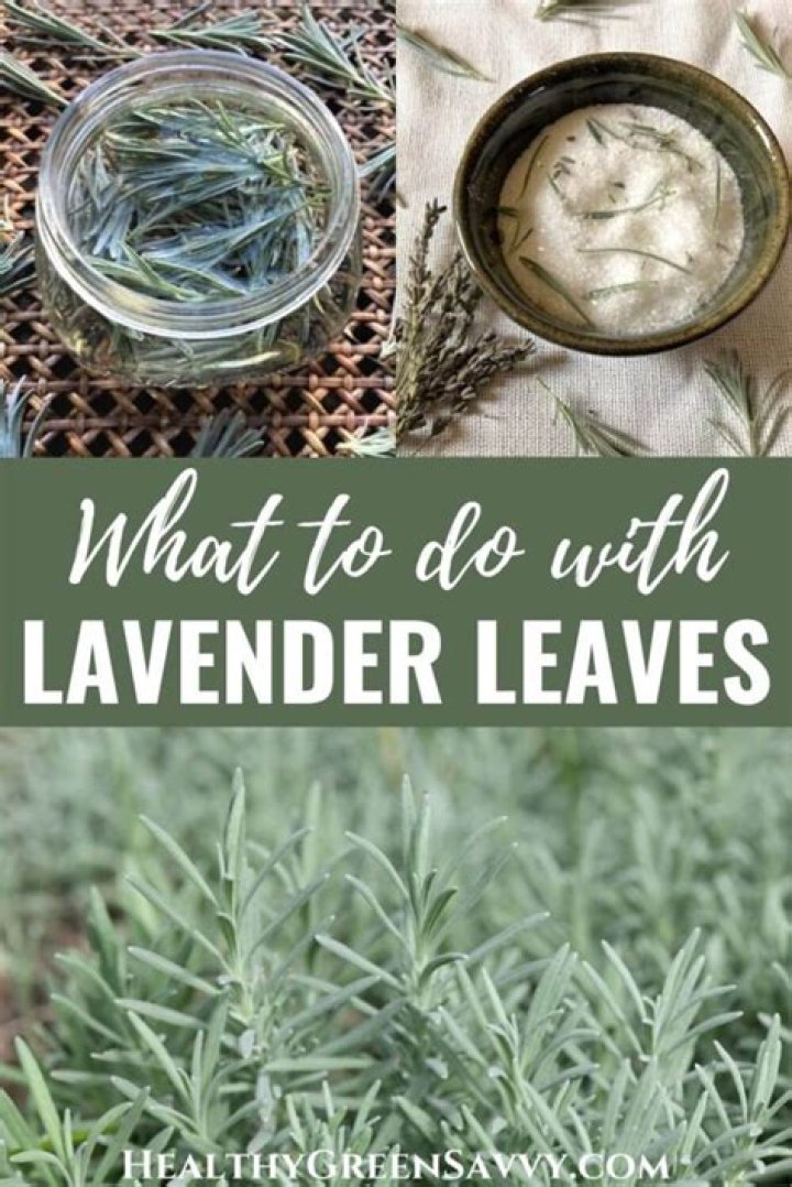 How do you make lavender powder?