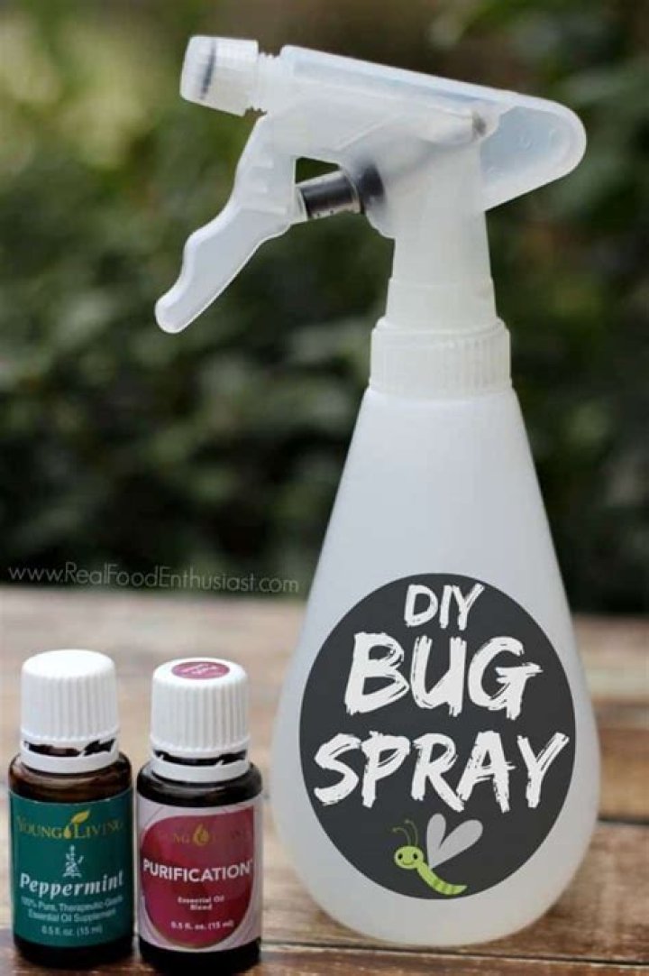 How do you make mosquito spray with peppermint oil?