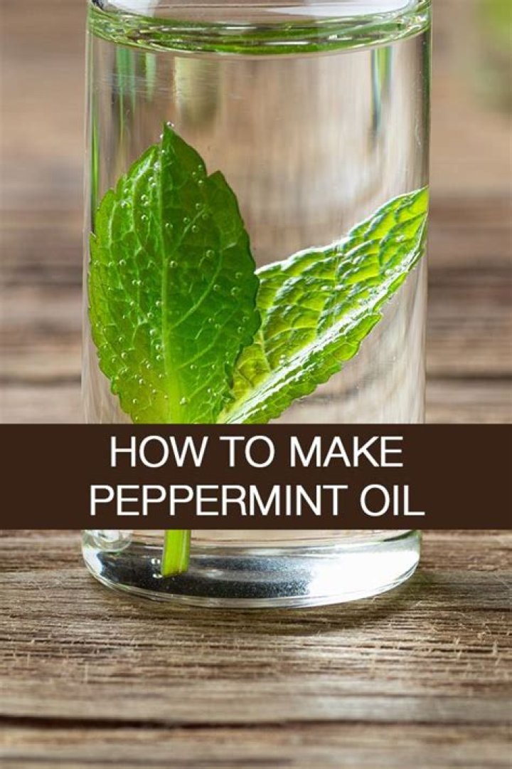 How do you make peppermint oil spray for plants?