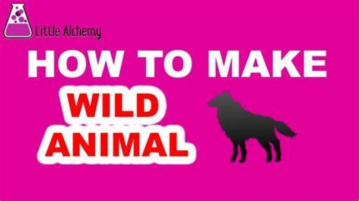 How do you make wild animal on little alchemy?