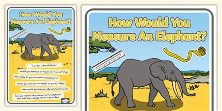 How do you measure an elephant without scales?