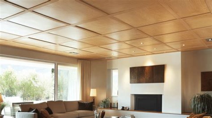 How do you paint plywood on a ceiling?