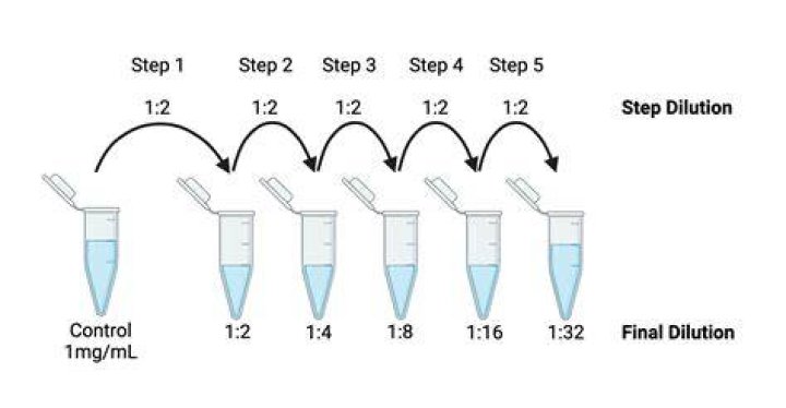 How do you prepare a dilution?