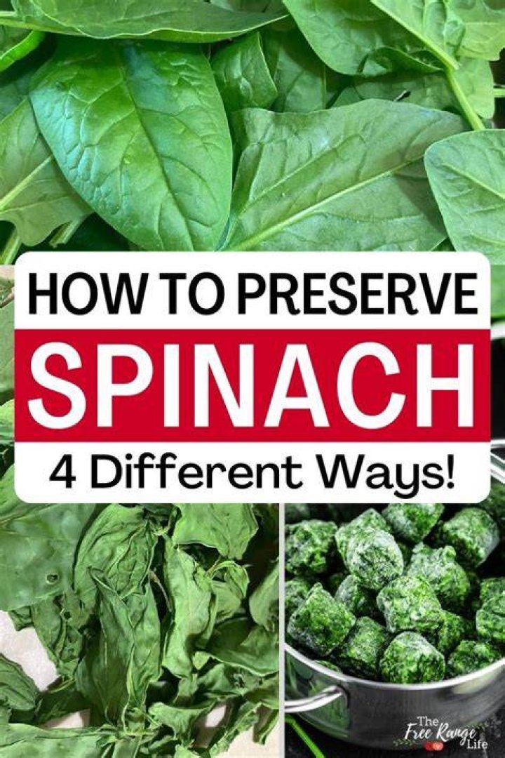 How do you preserve spinach leaves?